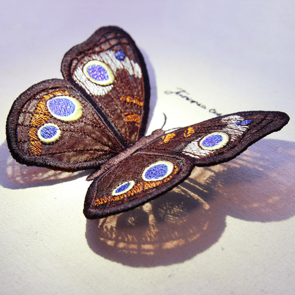 Winged Curiosities - Common Buckeye (3D Applique)