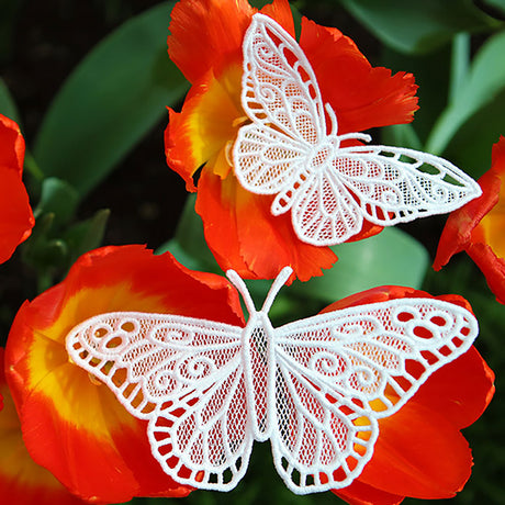 Chrysalis (Lace) (Design Pack)