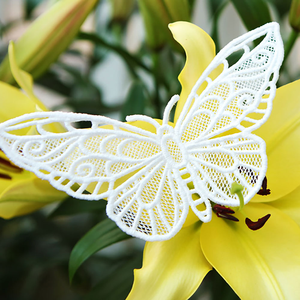 Chrysalis (Lace) (Design Pack)