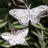 Chrysalis (Lace) (Design Pack)