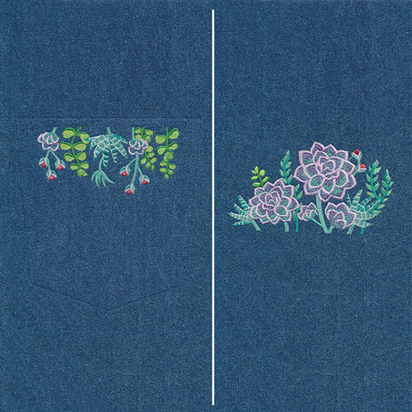 Succulent Details Flower Pocket