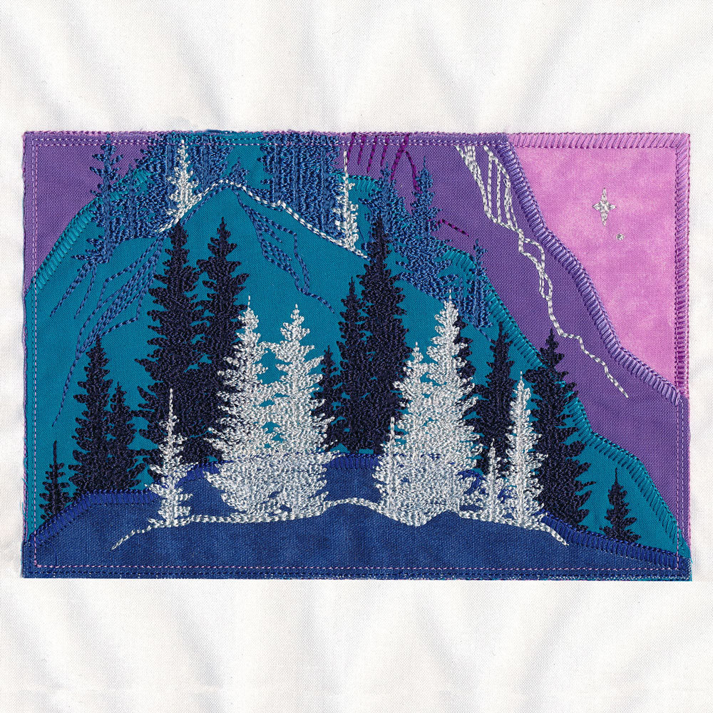 Reflection of Radiance Scene (Applique)