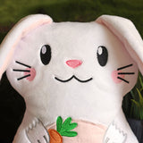 Bunny Plush Kit