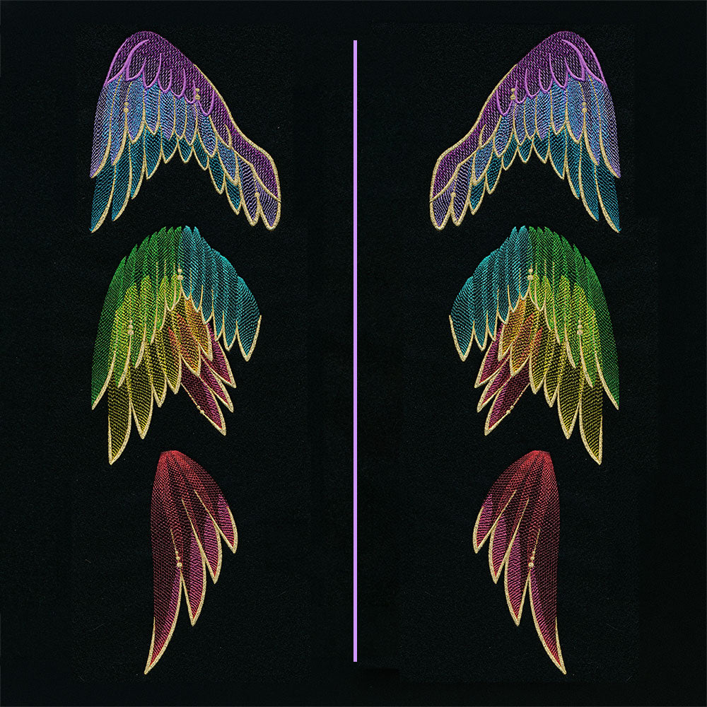 Gilded Rainbow Wing Pair Set (Split)