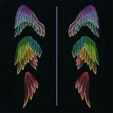 Gilded Rainbow Wing Pair Set (Split)