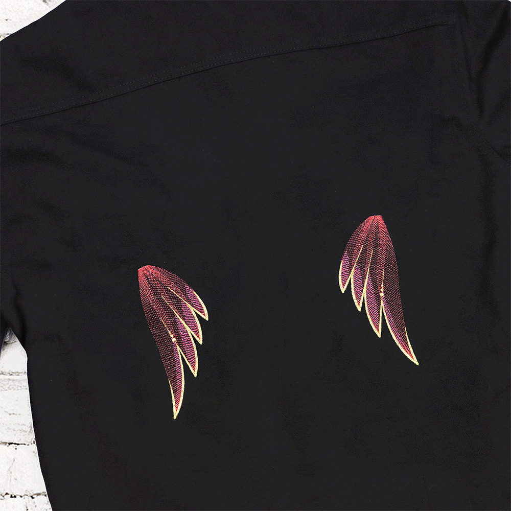 Gilded Rainbow Wing Pair Set (Split)