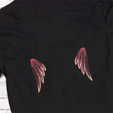 Gilded Rainbow Wing Pair Set (Split)