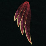 Gilded Rainbow Wing Pair Set (Split)