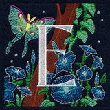 Nocturnal Home Banner Set