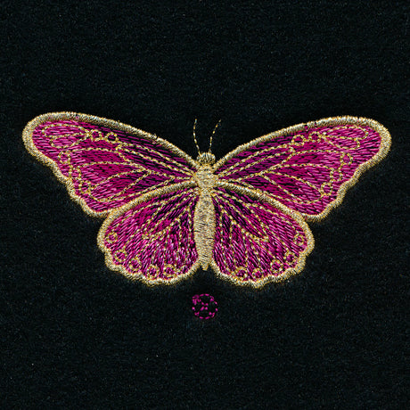 Glimmering Butterfly Garment Cinch
