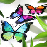 Butterfly Kaleidoscope