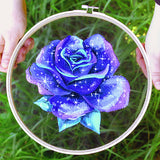 Night Sky Rose