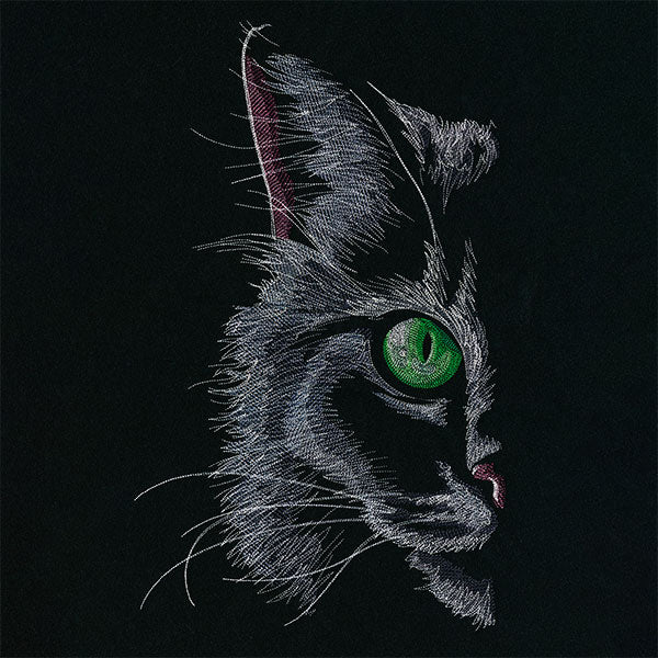 Feline Fierce Kitty
