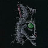 Feline Fierce Kitty