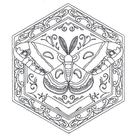 Moth in Flight Hexagon