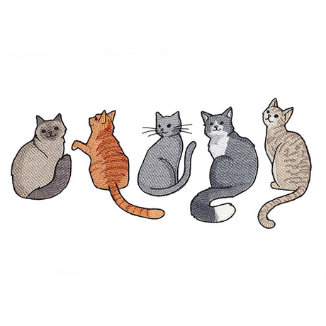 Hey Meow Cat Border