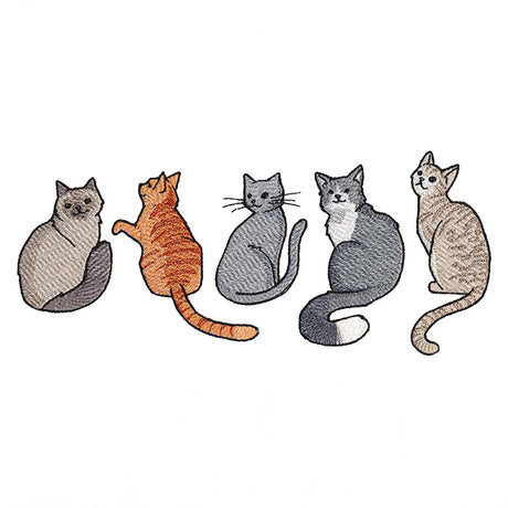 Hey Meow Cat Border