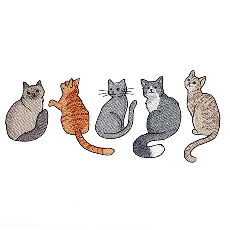 Hey Meow Cat Border