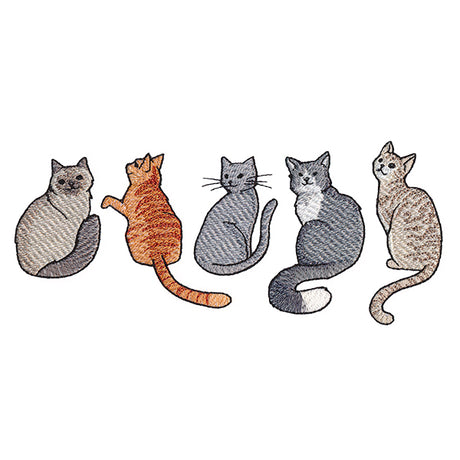 Hey Meow Cat Border