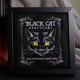 Black Cat Sanctuary