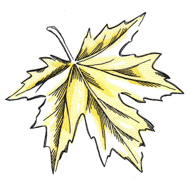 Golden Maple Leaf – Urban Threads