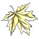 Golden Maple Leaf