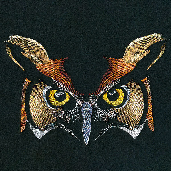 Enchanted Owl Face