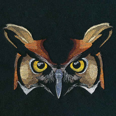 Enchanted Owl Face