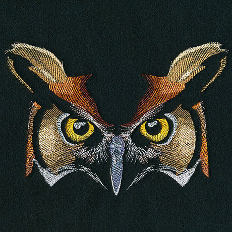 Enchanted Owl Face