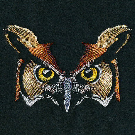 Enchanted Owl Face