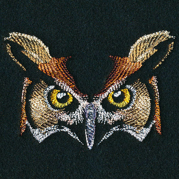 Enchanted Owl Face