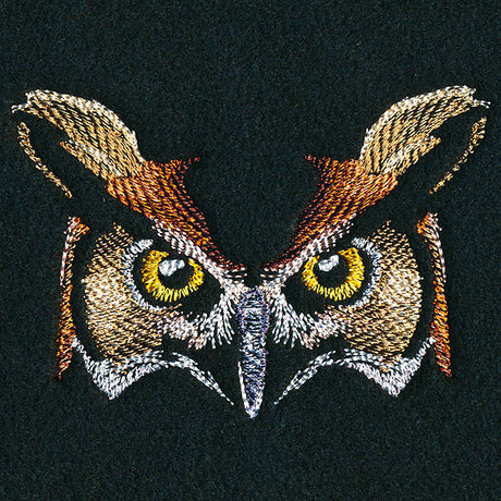 Enchanted Owl Face