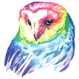 Wild Rainbow Owl