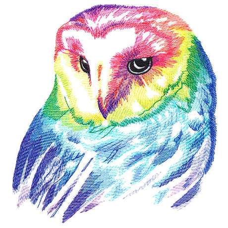 Wild Rainbow Owl