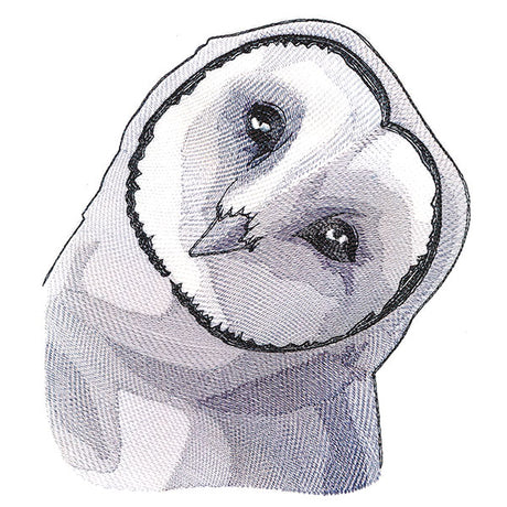 Peeking Barn Owl