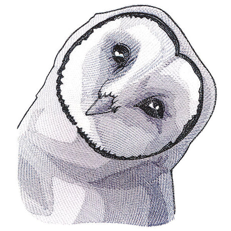 Peeking Barn Owl