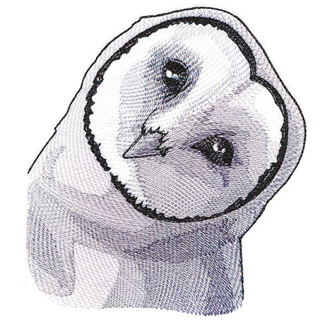 Peeking Barn Owl
