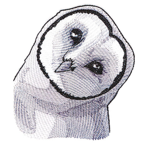 Peeking Barn Owl