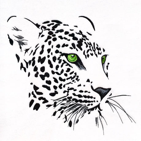 Wild Eyes Leopard