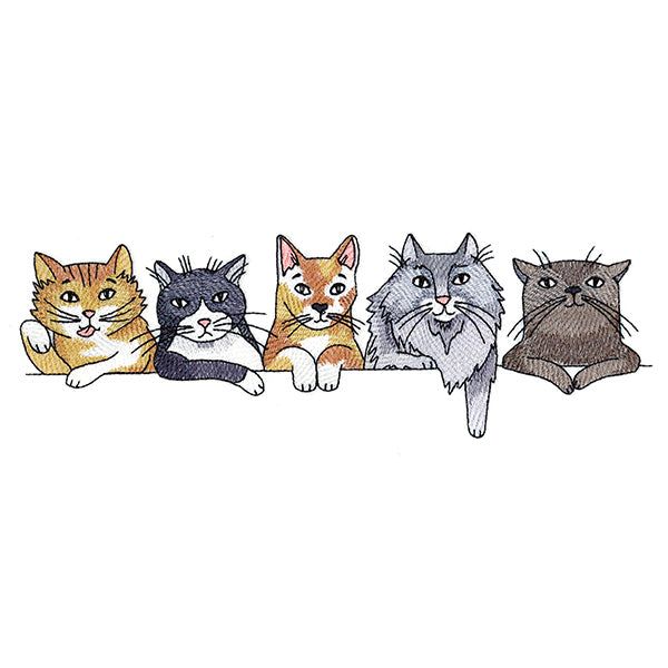 Sassy Cats Border