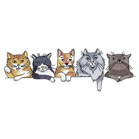 Sassy Cats Border
