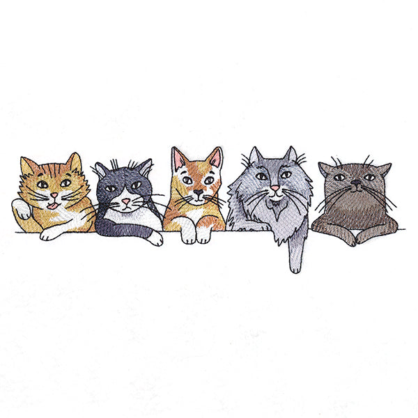 Sassy Cats Border