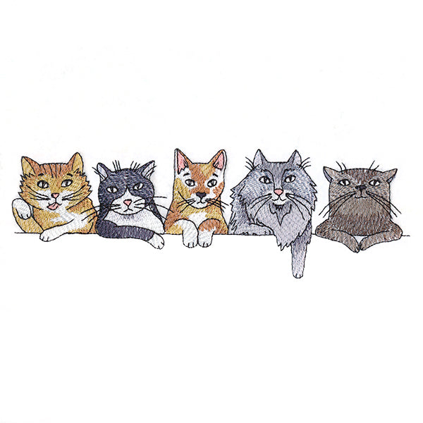 Sassy Cats Border