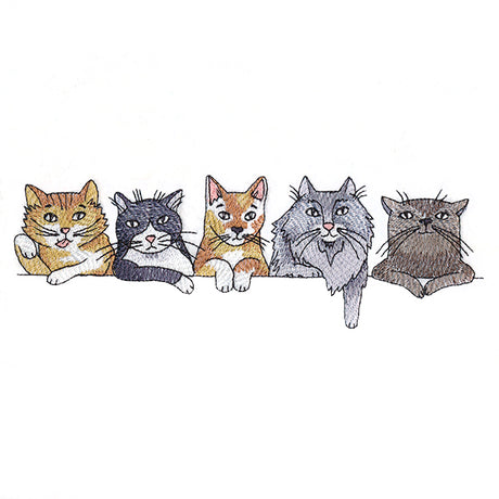Sassy Cats Border
