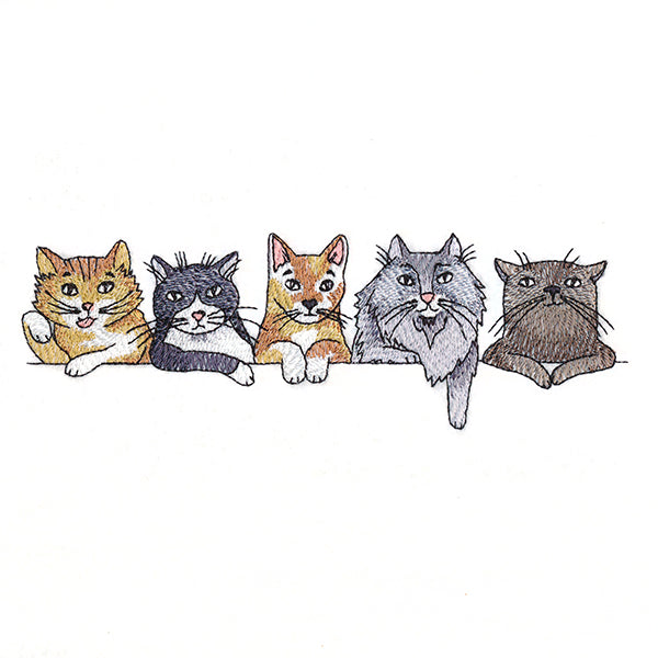 Sassy Cats Border