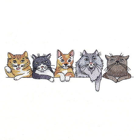 Sassy Cats Border