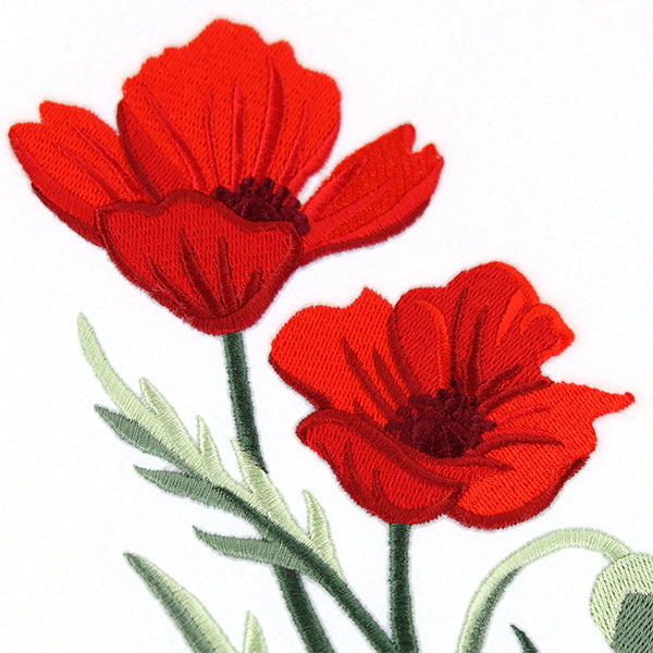 Captivating Poppies