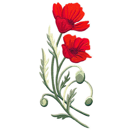 Captivating Poppies