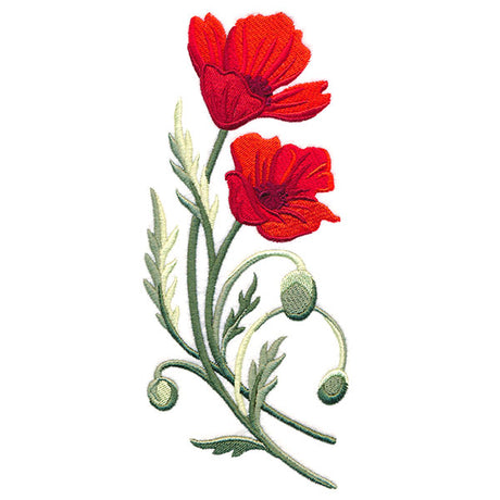 Captivating Poppies