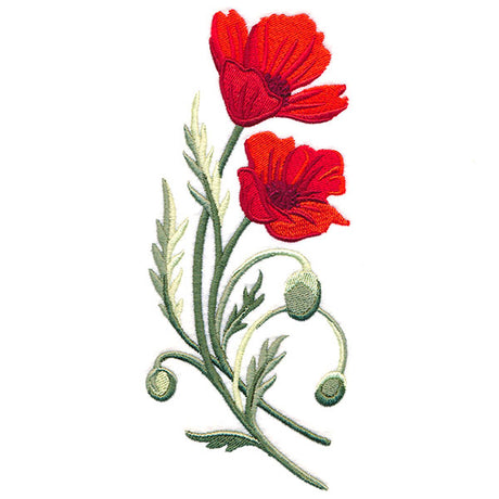 Captivating Poppies